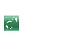 bnp